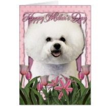 Día de madres - tulipanes rosados - Bichon Frise Tarjetón