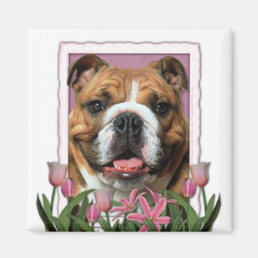 Día de madres - tulipanes rosados - dogo iman