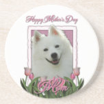 Día de madres - tulipanes rosados - esquimal ameri posavasos manualidades