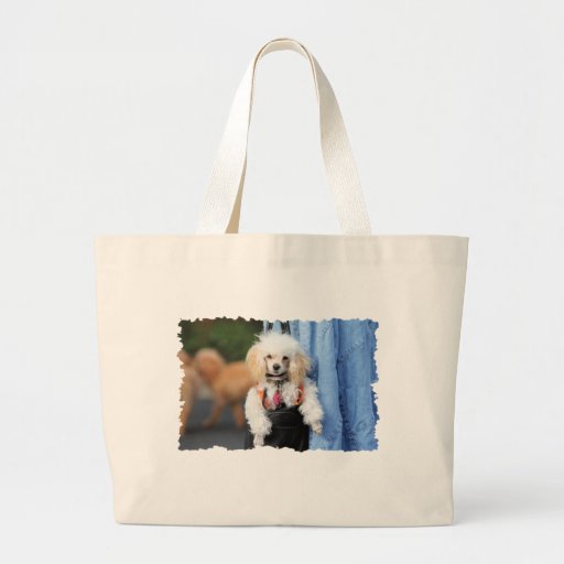 Día del caniche - colgando alrededor en un día per bolsa