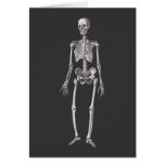 Día esquelético humano de los muertos o del Hallow Tarjetón