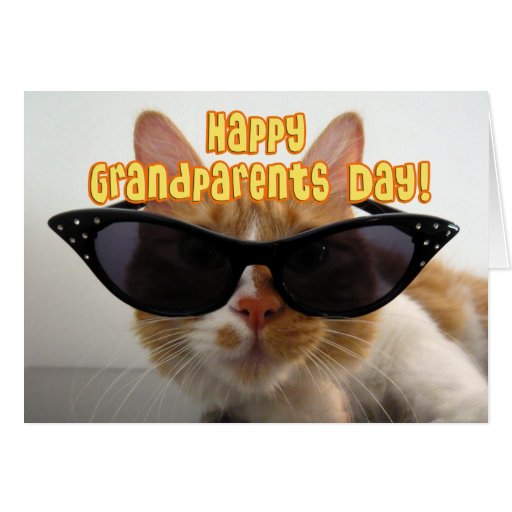 Día feliz de los abuelos - gato fresco felicitacion 