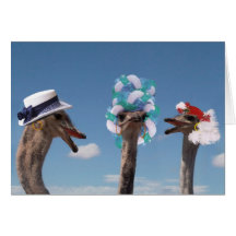 Día loco del gorra en las razas tarjetas