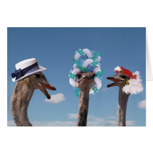 Día loco del gorra en las razas tarjetas