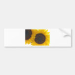 Día soleado de la flor un poco etiqueta de parachoque