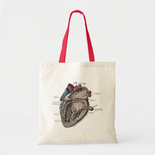 Diagrama anatómico del corazón del vintage bolsa de mano