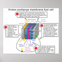 Diagrama de la pila de combustible de la membrana  impresiones