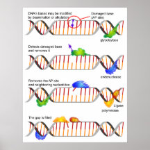 Diagrama de una reparación baja simple de la supre posters