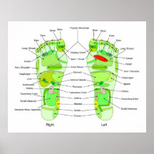 Diagrama del Acupressure del pie Impresiones