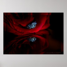 Diamantes y rosas poster