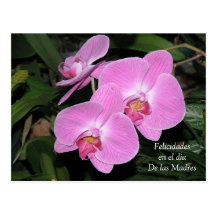 Diámetro de las Madres de Felicidades Postal
