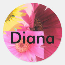 Diana Etiqueta Redonda