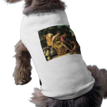 Diana y sus ninfas de Juan Vermeer Camisetas De Perro