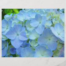 Días de fiesta azules de los Hydrangeas de los avi Tarjetas Publicitarias