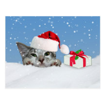 Días de fiesta, gatito en postal del gorra de Sant