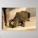 ¡Días perezosos! Postercard