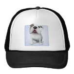 Dibujo animado (inglés) del dogo gorras de camionero