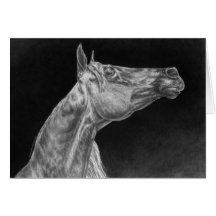Dibujo árabe del retrato del caballo por el cisne  tarjetas