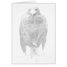 Dibujo de Eagle Tarjetas