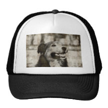 Dibujo de la sepia del perro gorros bordados