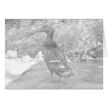 Dibujo de lápiz de un pato tarjetón