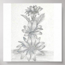 Dibujo de lápiz floral posters