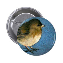 DIBUJO DEL PÁJARO DEL JUNCO PINS