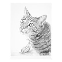 Dibujo gris del gato de Tabby Comunicado Personal