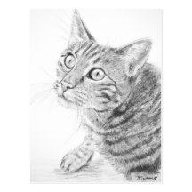Dibujo gris del gato de Tabby Tarjetas Postales