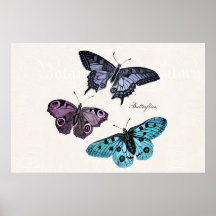 Dibujo rosado púrpura azul de la mariposa del trul posters