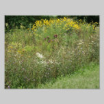 Dicha 11 x del Wildflower impresión fotográfica 8, fotografía