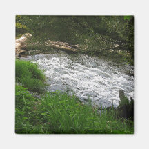 Die Natur nimmt ihren Lauf! Magnets