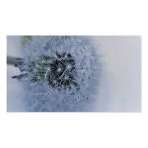 Diente de león azul tarjeta de visita