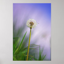 Diente de león cielo posters