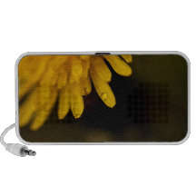 Diente de león delicado PC altavoces