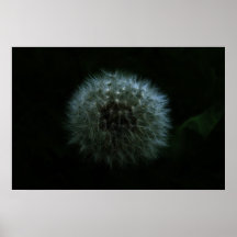 Diente de león negro posters