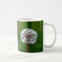 Diente de león tazas