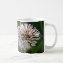 Diente de león tazas de café