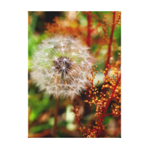 Diente de león y Wildflowers Impresion En Lona