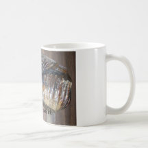 diente impresionante, ak gigantesco del diente taza