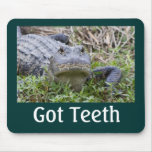 Dientes conseguidos tapete de ratones