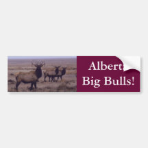 Dientes del descenso de los alces de E0019 Bull Etiqueta De Parachoque