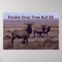 Dientes del descenso del doble de los alces de E00 Poster
