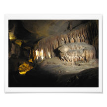 Dientes del dinosaurio foto