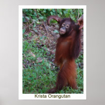 Diga no a los matones - orangután de Krista Posters