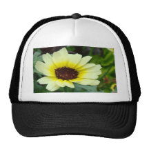 Dígalo con las margaritas amarillas gorros  