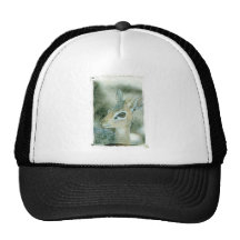 Dik Dik Gorros