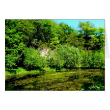 Dino Park_Lake Tarjeta