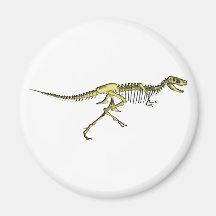 Dinosaurier Raptor Skelett dino skeleton Magnete