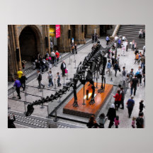 Dinosaurio en el museo de la historia natural impresiones